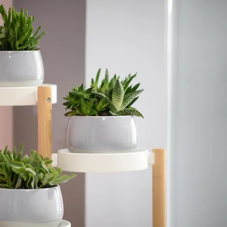 Callisto 3 Bedroom Appartement *