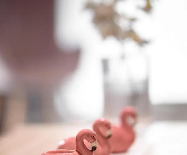 アパート Callisto 3 Bedroom *