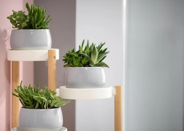 Callisto 3 Bedroom アパート *